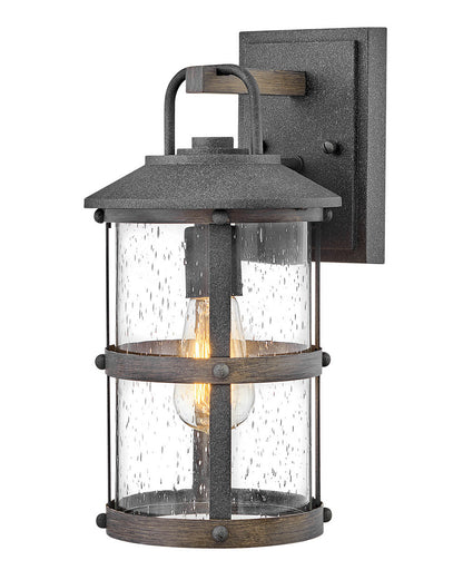 Hinkley Lighting Lakehouse Small Wall Mount Lantern Aged Zinc LED Bulb(s) Included 2680DZ-LL