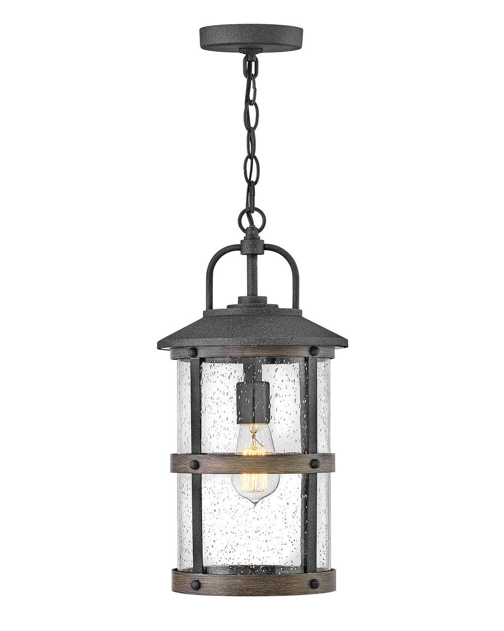 Hinkley Lighting Lakehouse Medium Hanging Lantern Aged Zinc LED Bulb(s) Included 2682DZ-LL