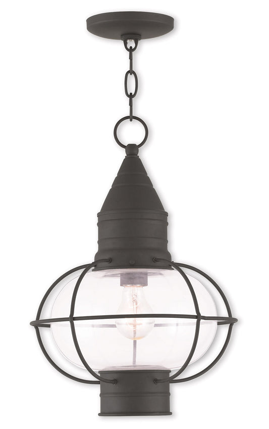 Livex Lighting Newburyport Collection 1 Light Black Outdoor Chain Lantern in Black 26906-04