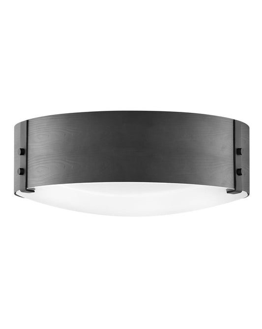 Hinkley Lighting Sawyer Medium Flush Mount in Black 29203BK