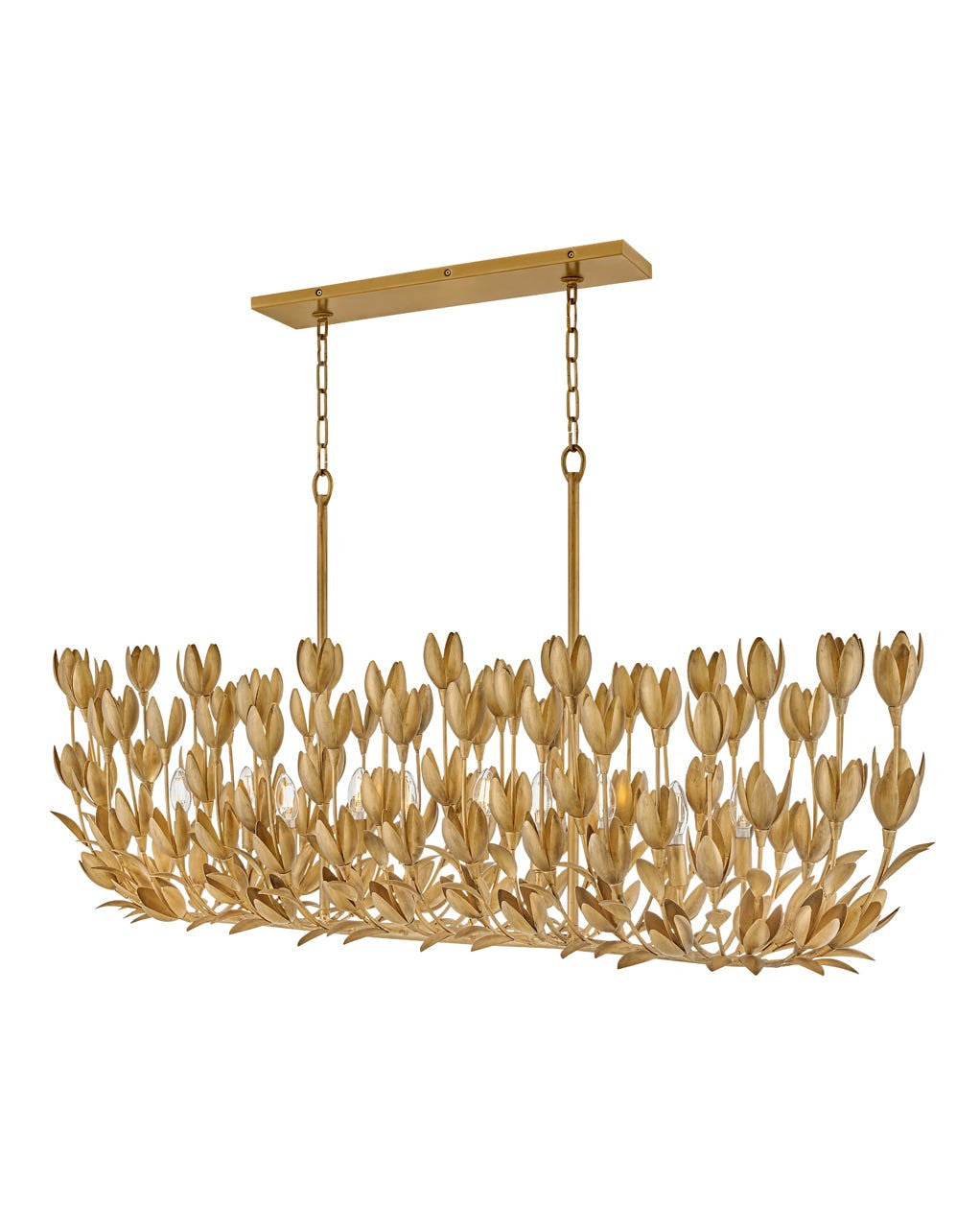 Hinkley Lighting Flora Ten Light Linear in Burnished Gold 30015BNG