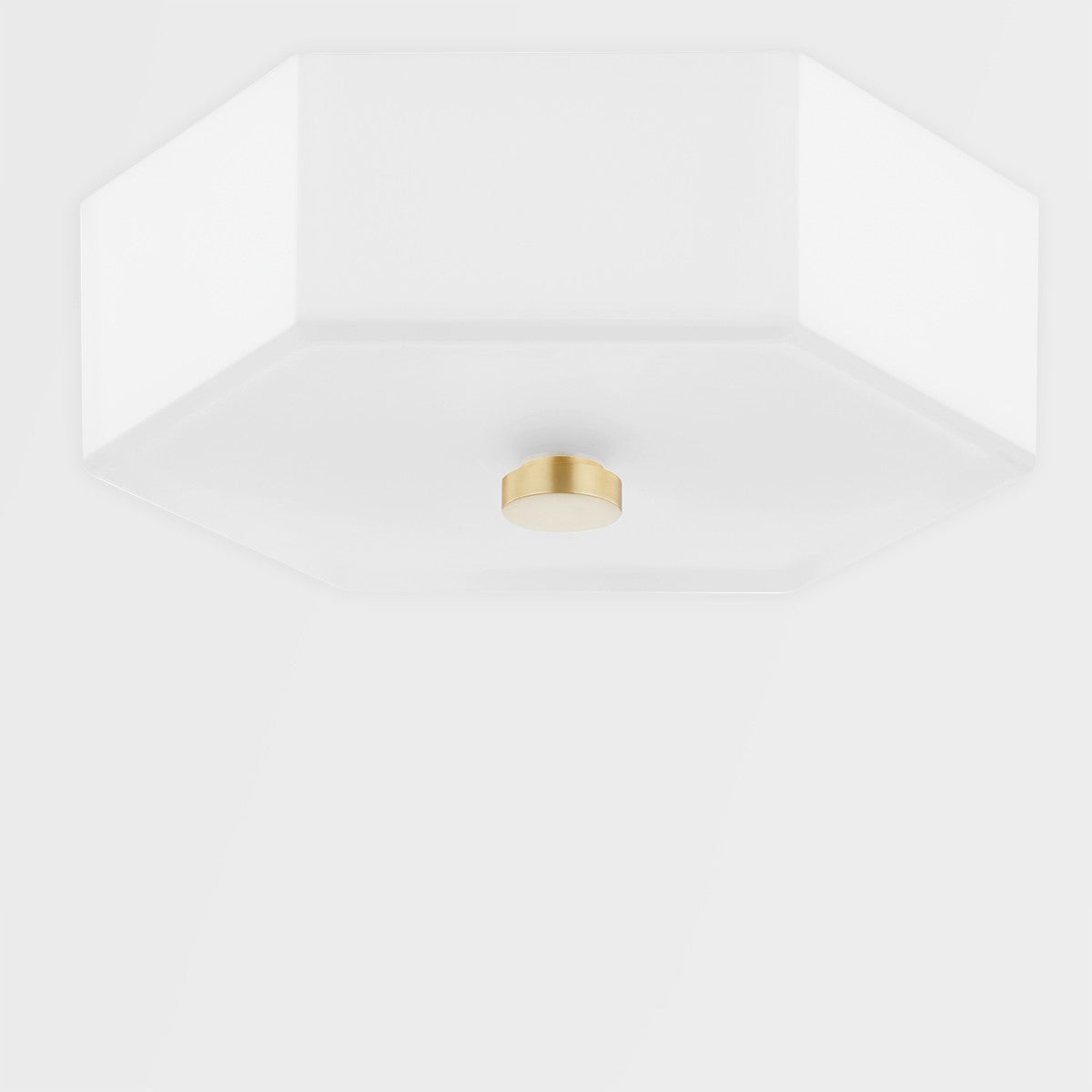 Mitzi 2 Light Flush Mount in Aged Brass/Polished Nickel Combo H462502-AGB/PN