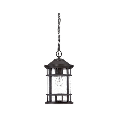 Acclaim Lighting Vista II 1-Light Black Coral Hanging Light in Black Coral 31946BC