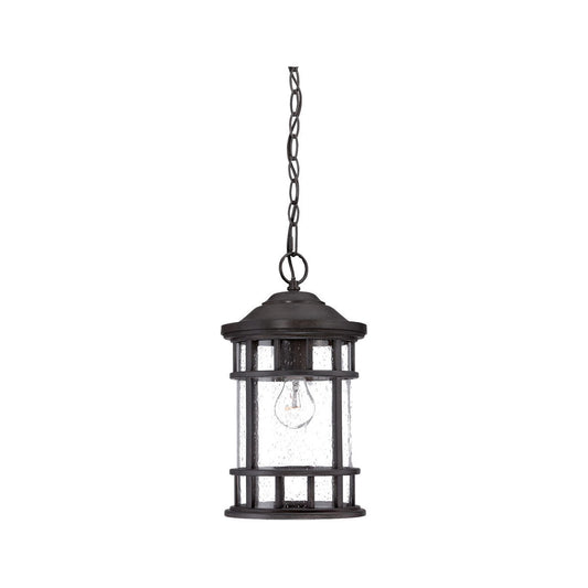 Acclaim Lighting Vista II 1-Light Black Coral Hanging Light in Black Coral 31946BC