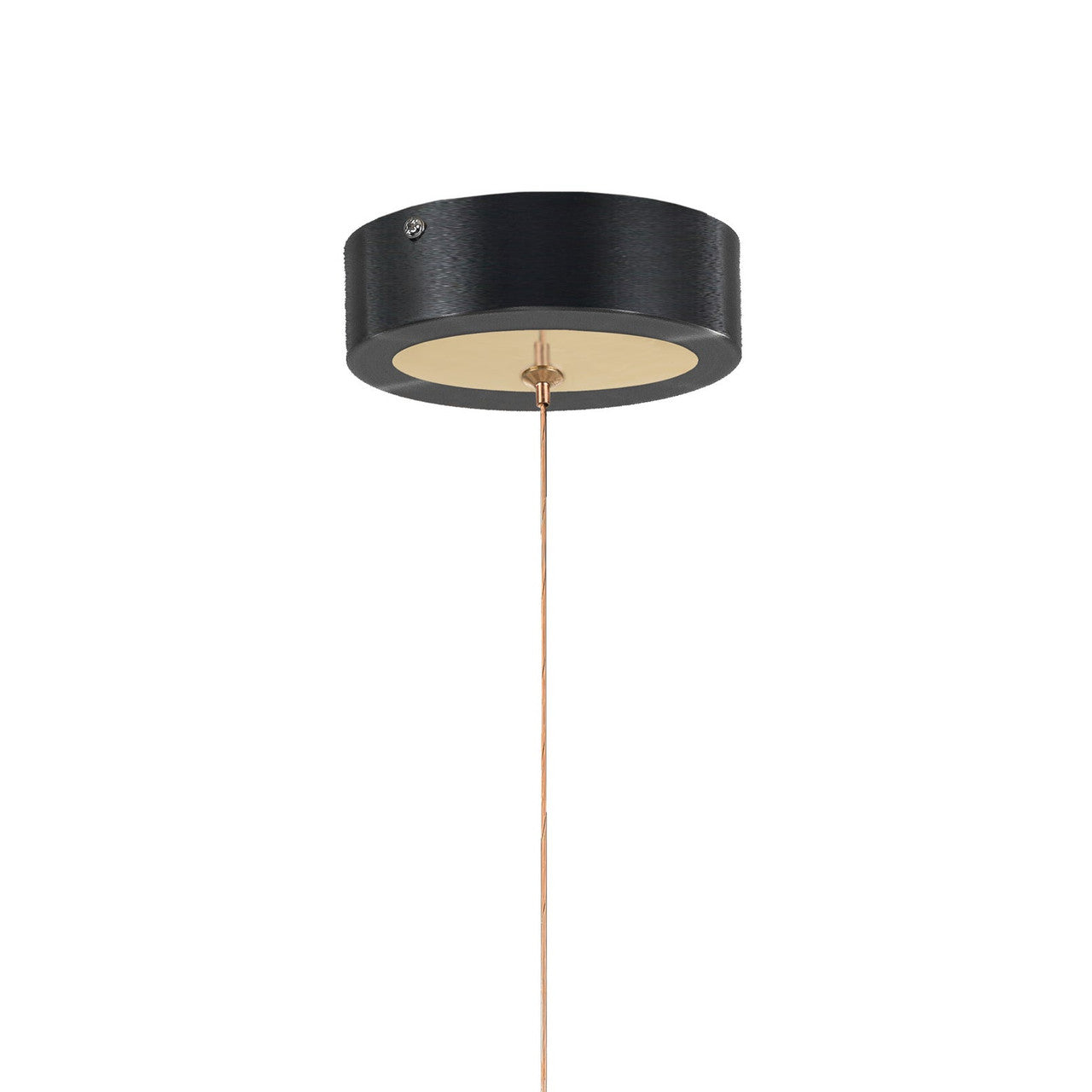 Arnsberg Butterfly 1-Light LED Pendant in Black/Gold 320710132