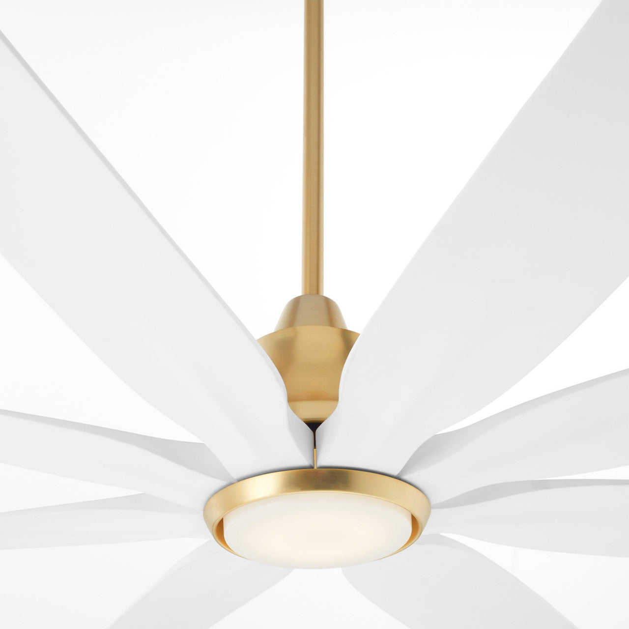 Quorum  Rosales 60" 8 Blade Fan - Aged Brass 33608-80