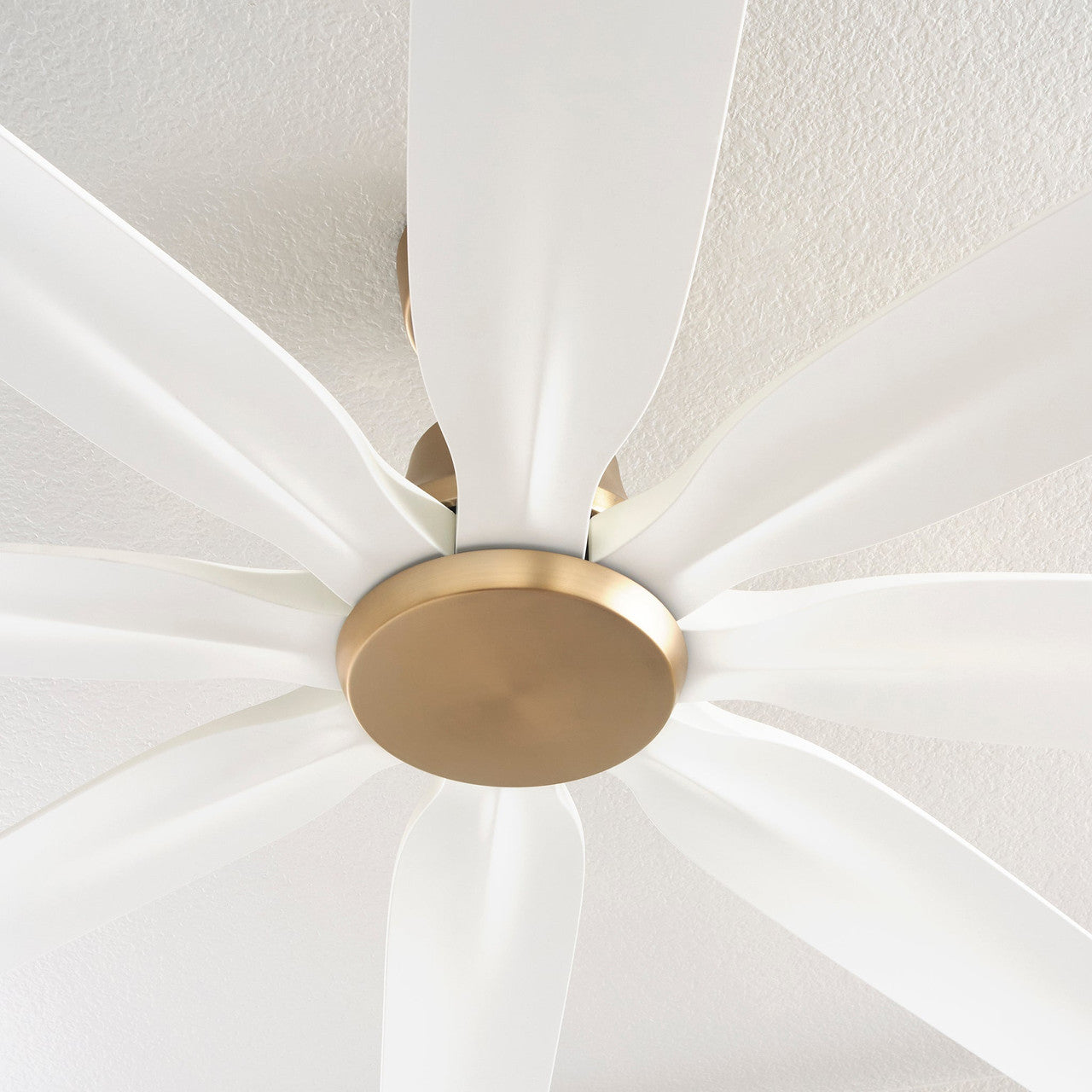 Quorum  Rosales 60" 8 Blade Fan - Aged Brass 33608-80