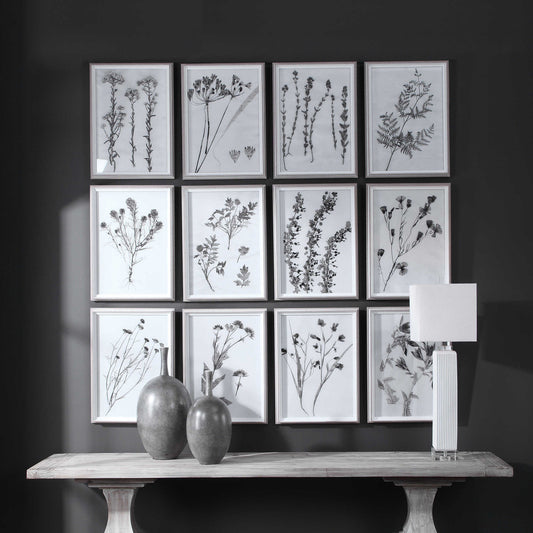 Uttermost Contemporary Botanicals Framed Prints, S/12 33713