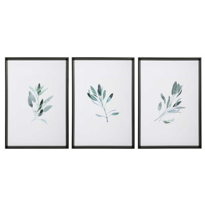 Uttermost Simple Sage Watercolor Prints S/3 33723