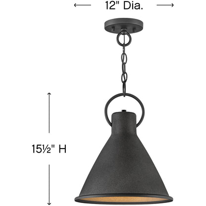 Hinkley Lighting Winnie Small Pendant Aged Zinc 3557DZ