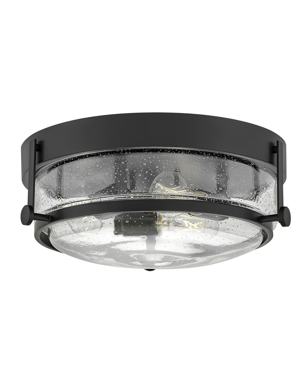 Hinkley Lighting Harper Small Flush Mount in Black with Clear Seedy glass 3640BK-CS