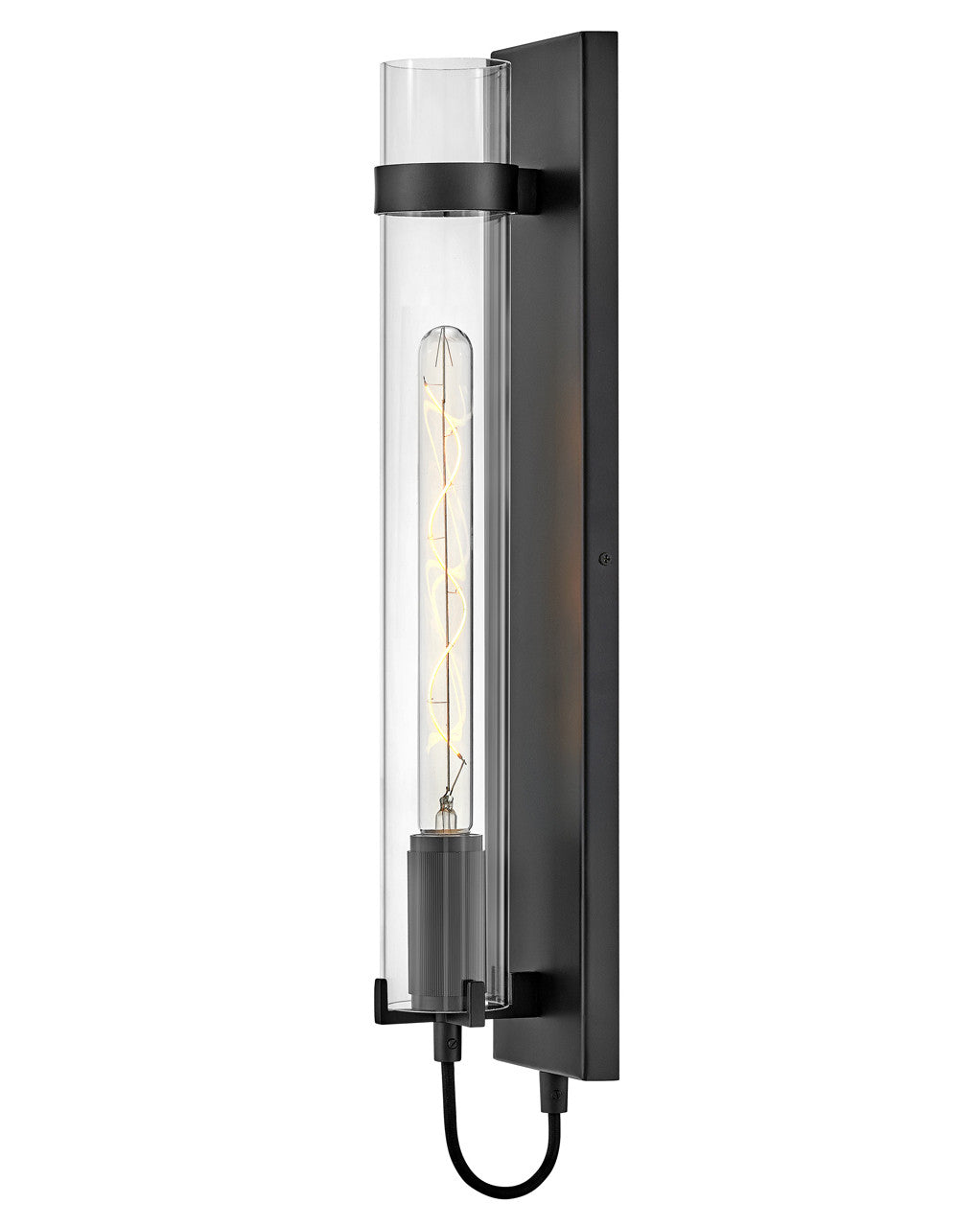 Hinkley Lighting Ryden Tall Single Light Sconce in Black LED Bulb(s) Included  37852BK-LL