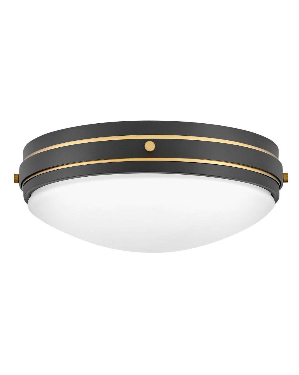 Hinkley Lighting Oliver Medium Flush Mount in Black 39053BK