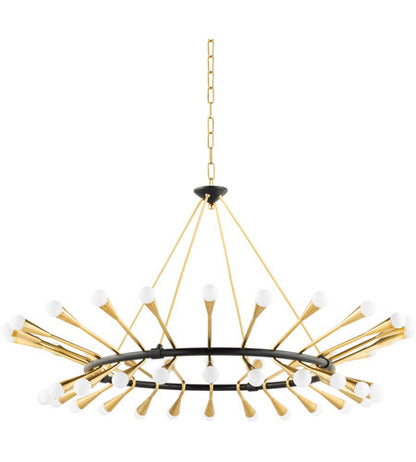 Corbett Lighting48 Light Chandelier in Brass 401-48-VPB/BBR