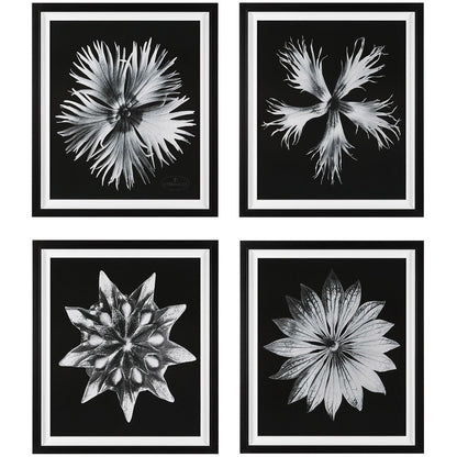 Uttermost Contemporary Floret Framed Prints S/4 41427