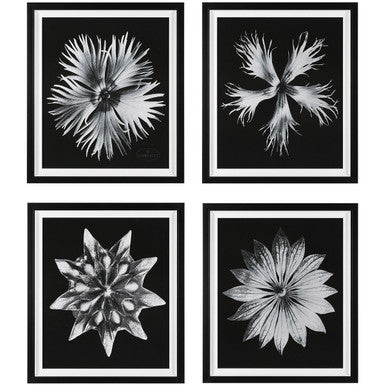 Uttermost Contemporary Floret Framed Prints S/4 41427