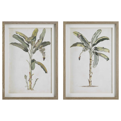 Uttermost Banana Palm Framed Prints Set/2 41446