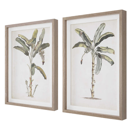 Uttermost Banana Palm Framed Prints Set/2 41446