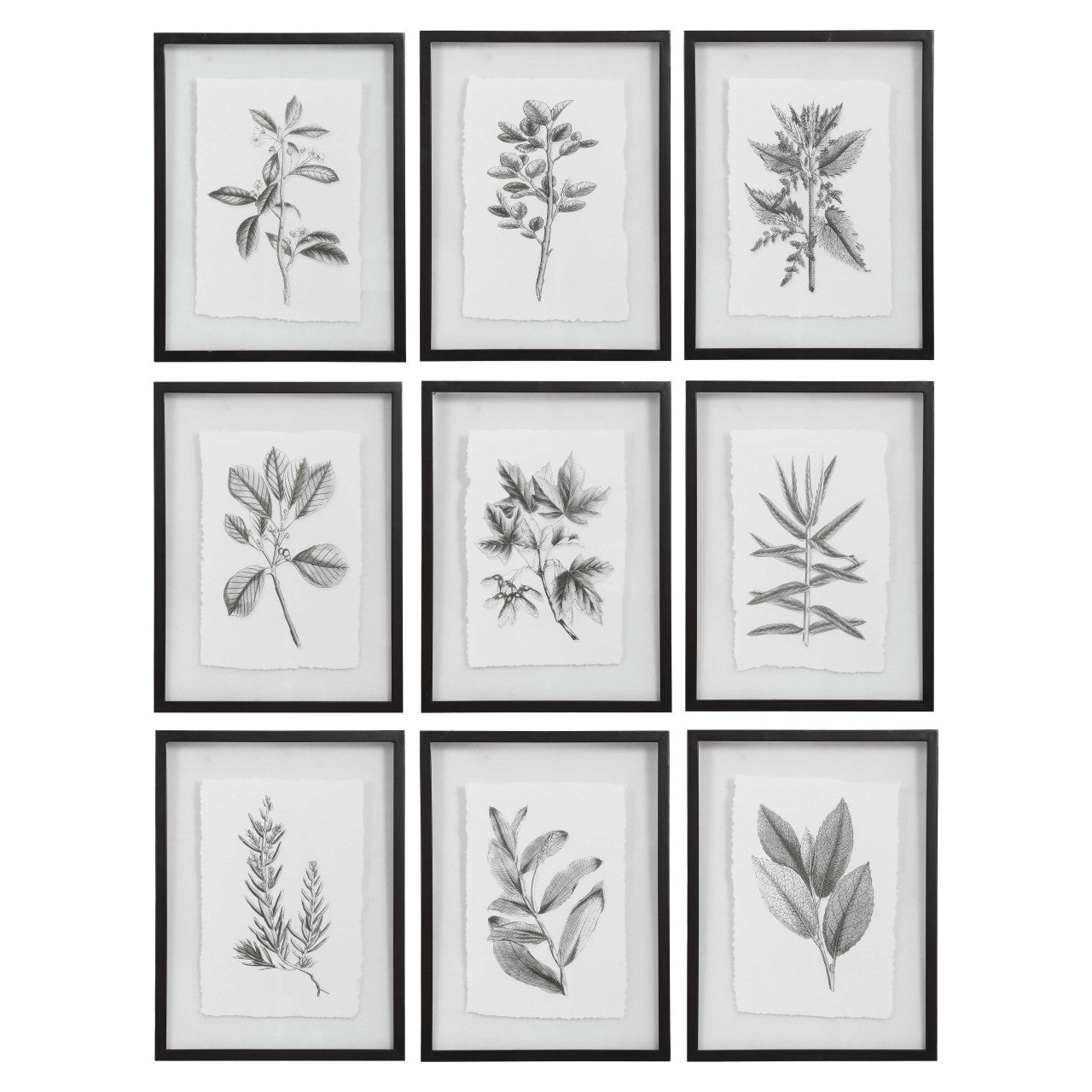 Uttermost Farmhouse Florals Framed Prints S/9 41617