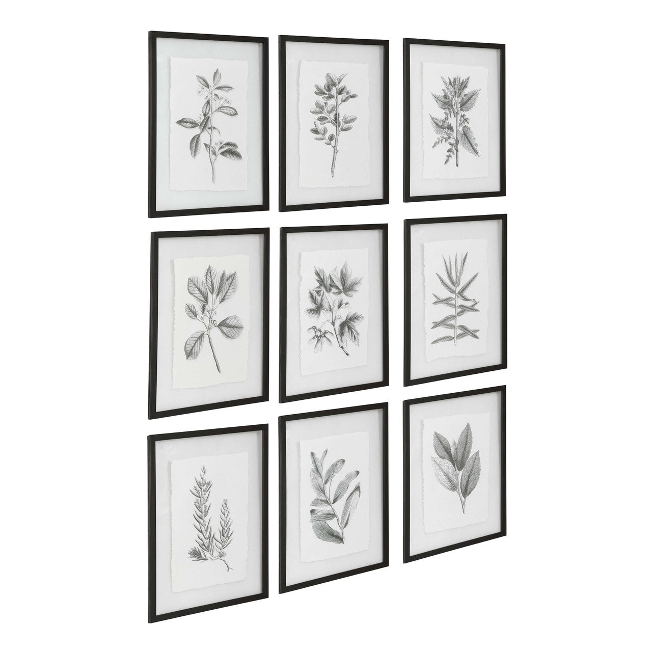 Uttermost Farmhouse Florals Framed Prints S/9 41617