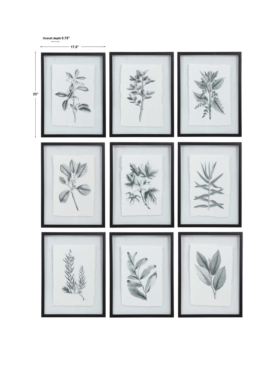 Uttermost Farmhouse Florals Framed Prints S/9 41617