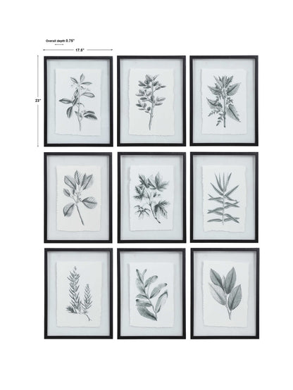 Uttermost Farmhouse Florals Framed Prints S/9 41617