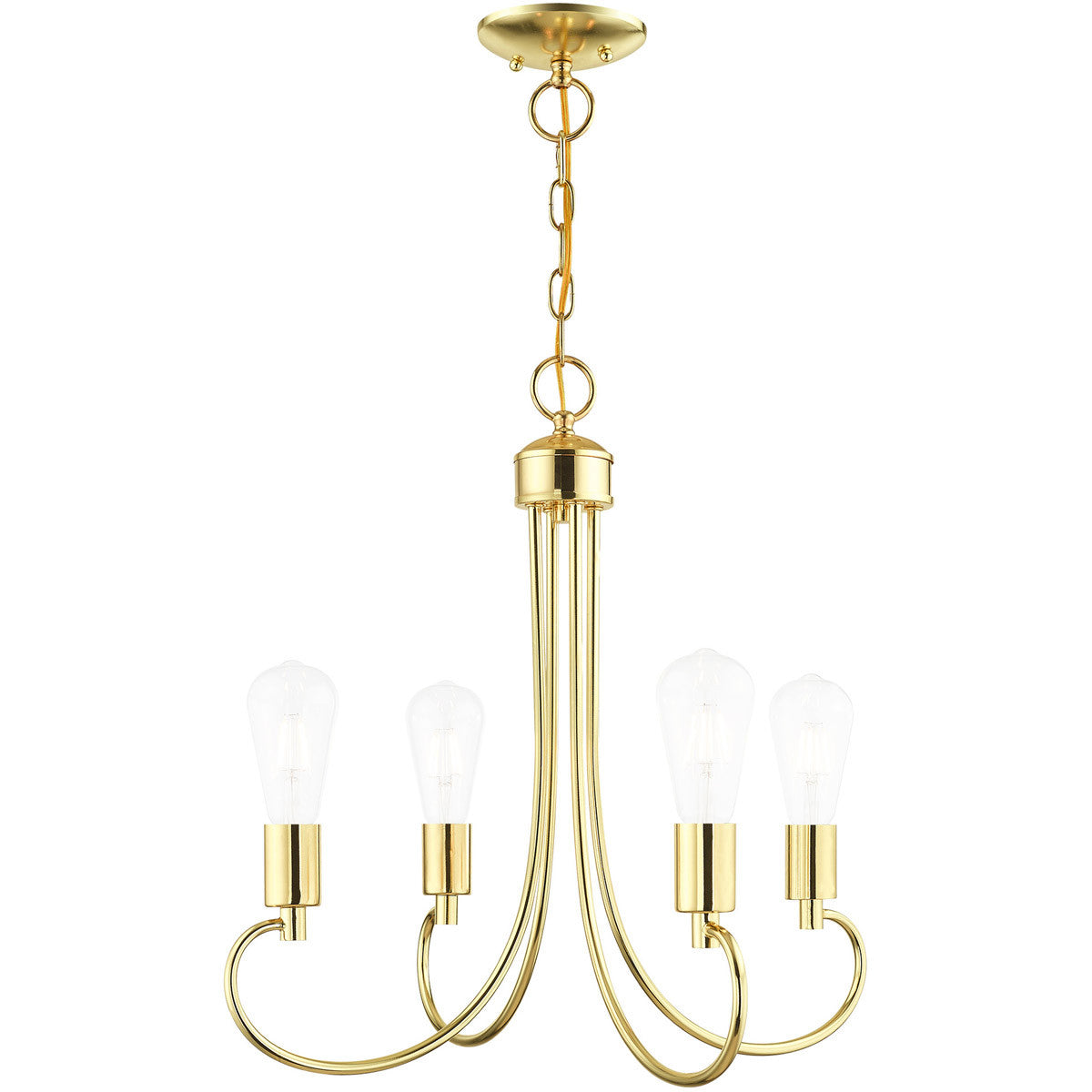 Livex Lighting Bari Collection 4 Lt Polished Brass Chandelier in Polished Brass  42924-02