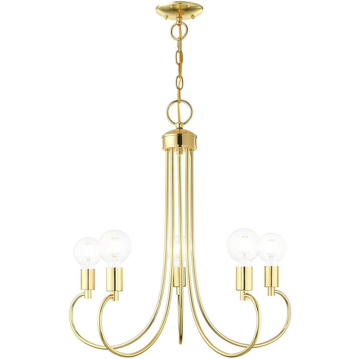 Livex Lighting Bari Collection 5 Lt Polished Brass Chandelier in Polished Brass 42925-02