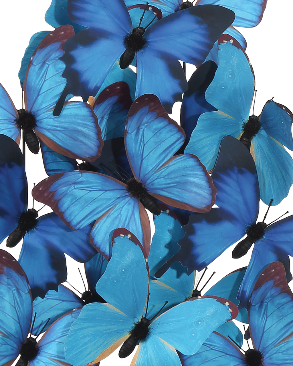 Currey & Co. Rue de Bac Medium Butterflies 1200-0896