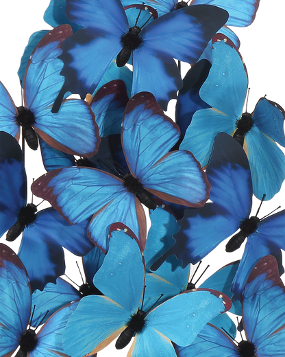 Currey & Co. Rue de Bac Medium Butterflies 1200-0896