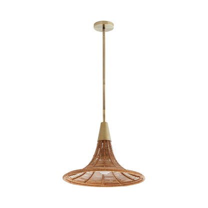 Arteriors Home Nicola Pendant 45203