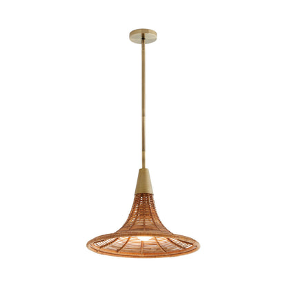 Arteriors Home Nicola Pendant 45203