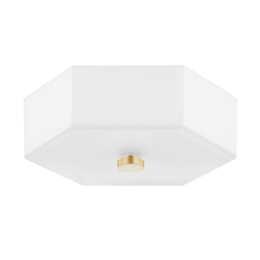 Mitzi 2 Light Flush Mount in Aged Brass/Polished Nickel Combo H462502-AGB/PN