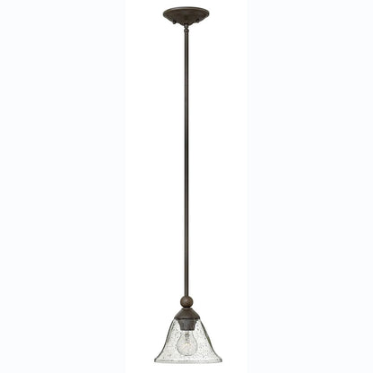 OPEN BOX NEW: Hinkley Lighting Bolla Pendant in Olde Bronze with Clear Seedy glass 4667OB-CL