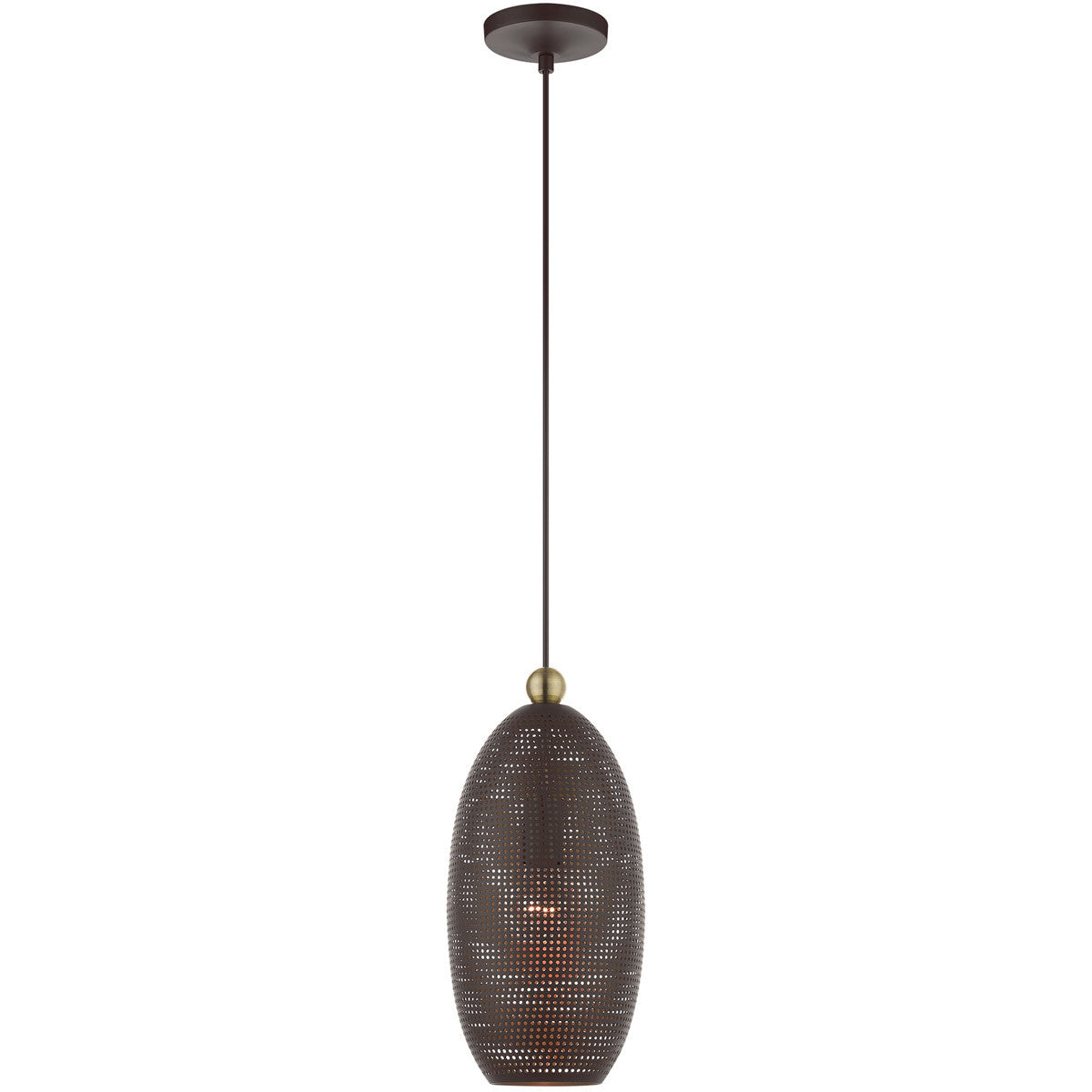 Livex Lighting Dublin Collection 1 Lt Bronze Pendant  in Bronze with Antique Brass Accents 49101-07