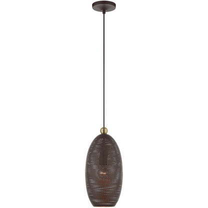 Livex Lighting Dublin Collection 1 Lt Bronze Pendant  in Bronze with Antique Brass Accents 49101-07