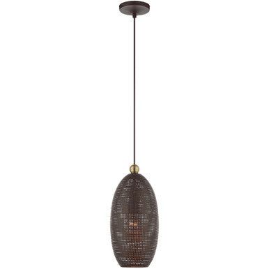 Livex Lighting Dublin Collection 1 Lt Bronze Pendant  in Bronze with Antique Brass Accents 49101-07