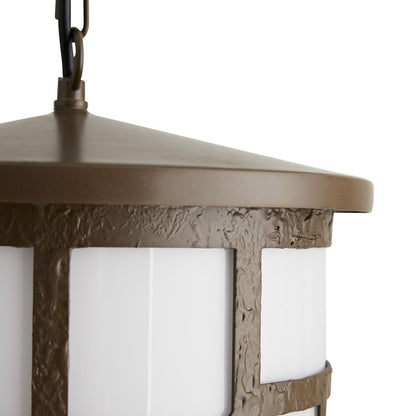 Arteriors Home Shani Outdoor Pendant 49223