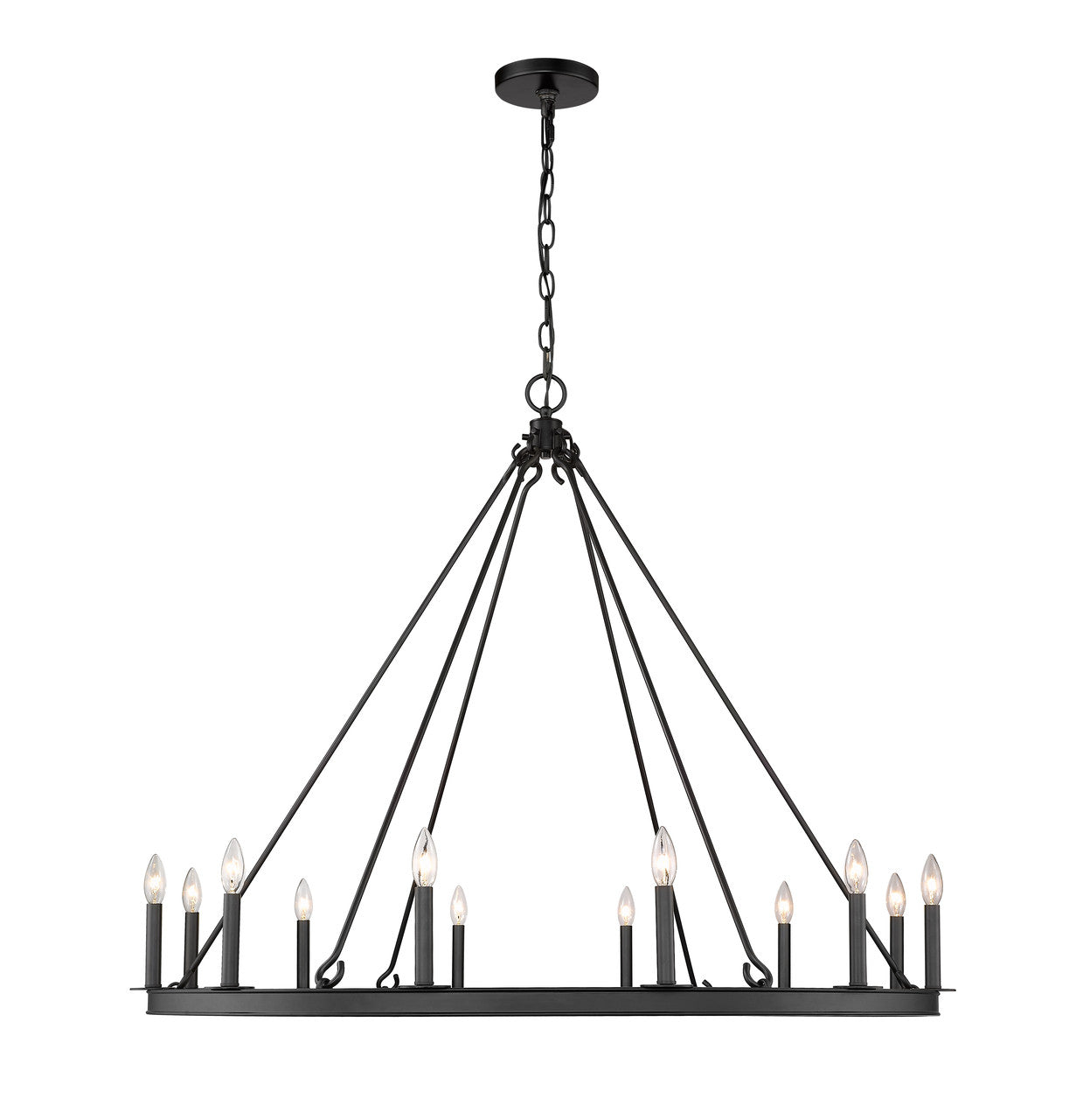 Z-Lite Barclay 12 Light Chandelier in Matte Black 482R-12MB