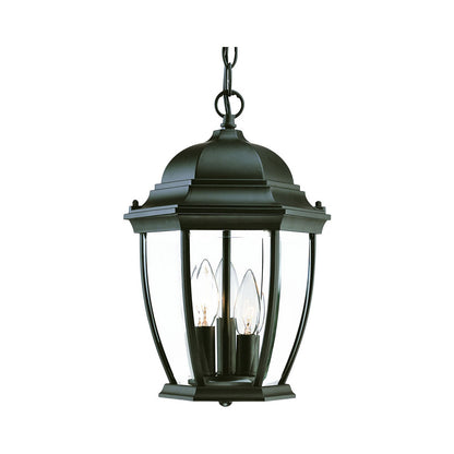 Acclaim Lighting Wexford 3-Light Matte Black Hanging Light in Matte Black 5036BK