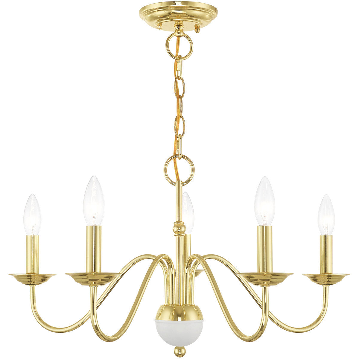 Livex Lighting Windsor Collection 5 Lt Polished Brass Chandelier in Polished Brass 52165-02