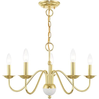 Livex Lighting Windsor Collection 5 Lt Polished Brass Chandelier in Polished Brass 52165-02