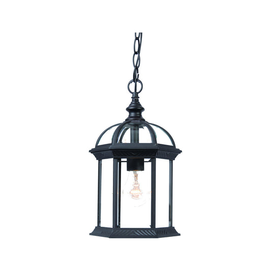 Acclaim Lighting Dover 1-Light Matte Black Hanging Light in Matte Black 5276BK