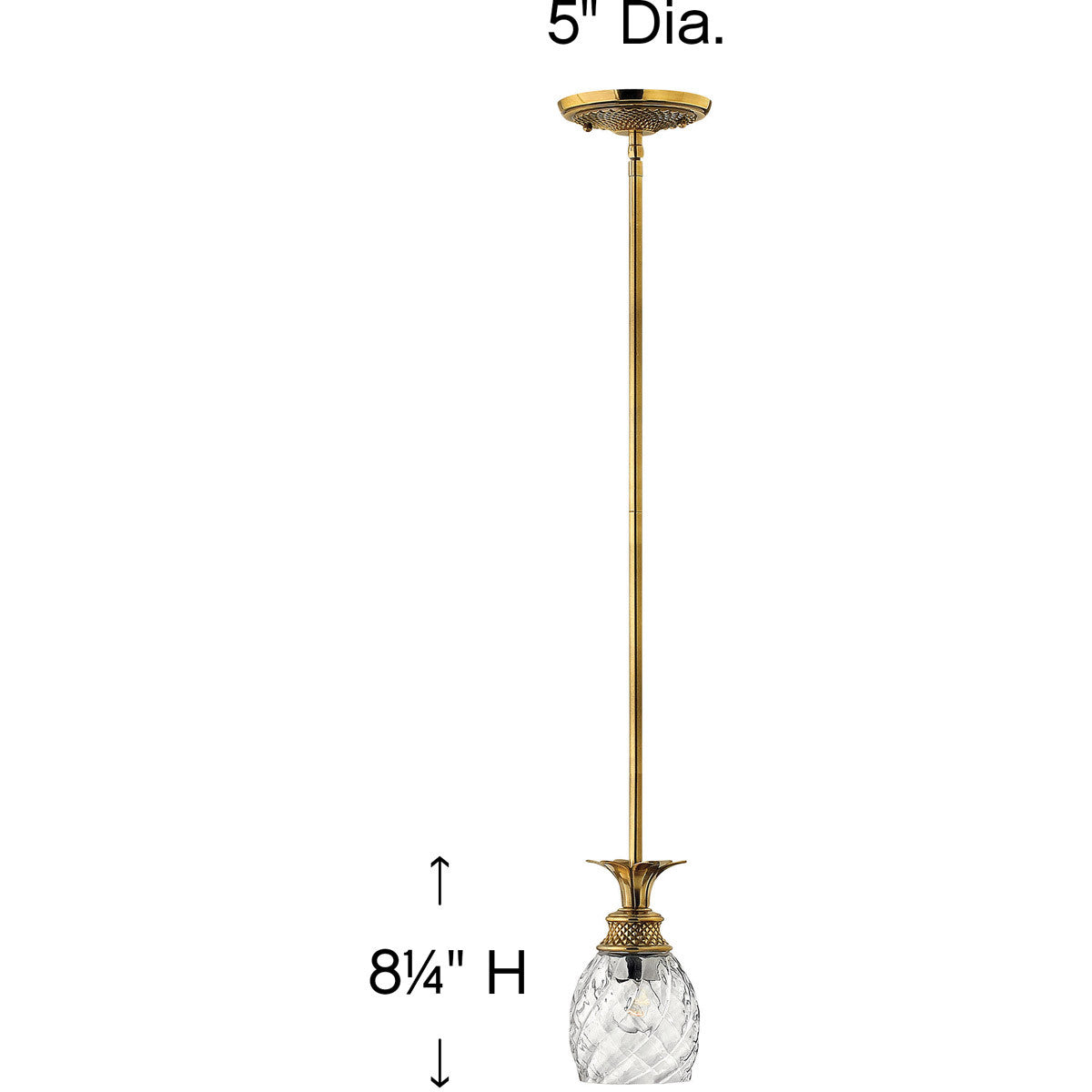 Hinkley Lighting Plantation Small Pendant Burnished Brass 5317BB