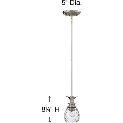 Hinkley Lighting Plantation Small Pendant Polished Antique Nickel 5317PL