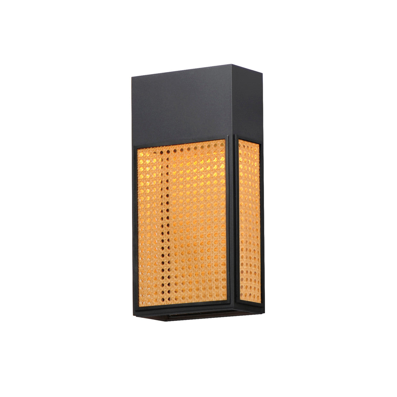 Maxim Lattice 16" LED Outdoor Sconce Dark Sky in Black 54804RABK