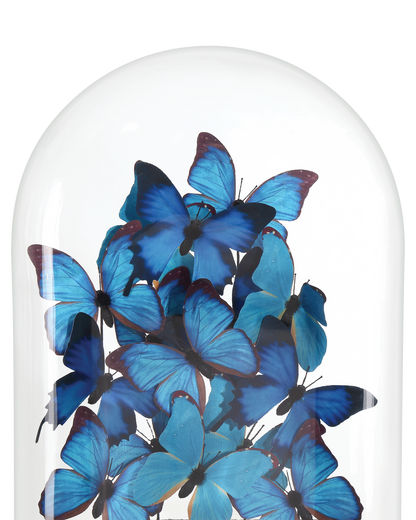 Currey & Co. Rue de Bac Large Butterflies 1200-0897