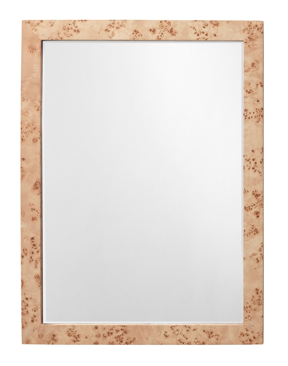 Jamie Young Chandler Rectangle Mirror 6CHAN-RECTNA