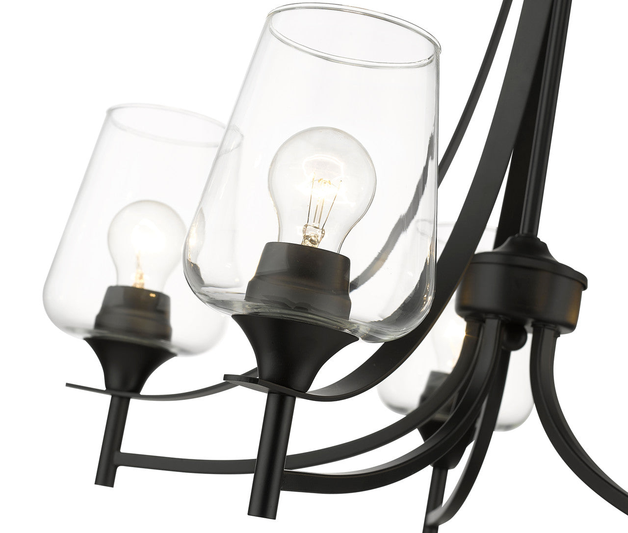 Z-Lite Joliet 5 Light Chandelier in Matte Black 473-5MB