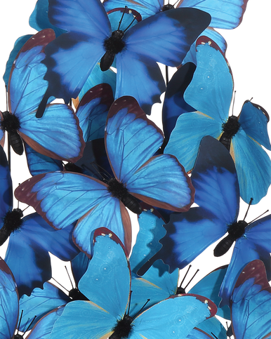 Currey & Co. Rue de Bac Large Butterflies 1200-0897